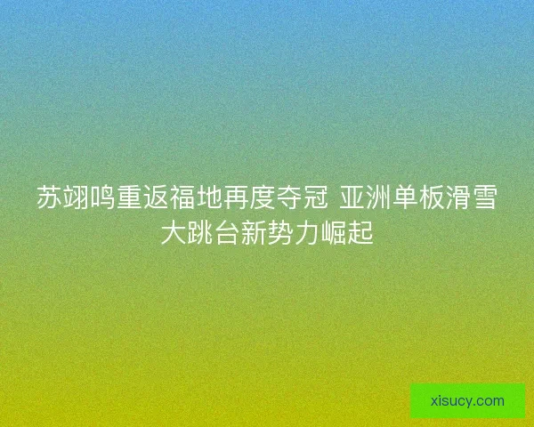 苏翊鸣重返福地再度夺冠 亚洲单板滑雪大跳台新势力崛起